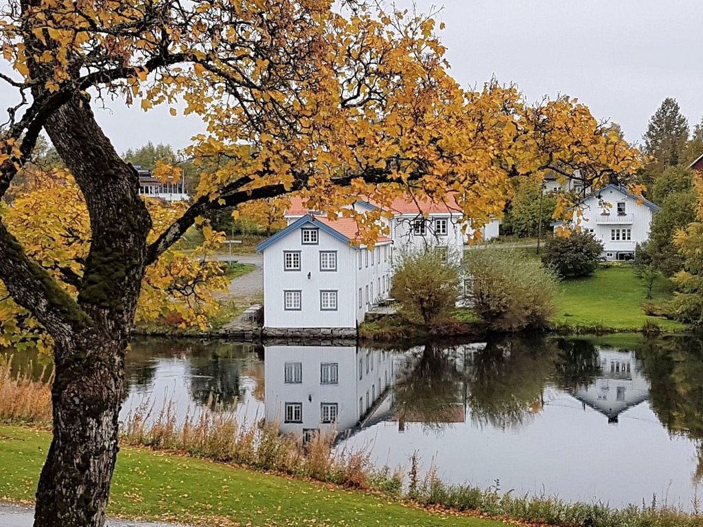 Autumn – Eidsvoll, Norway b