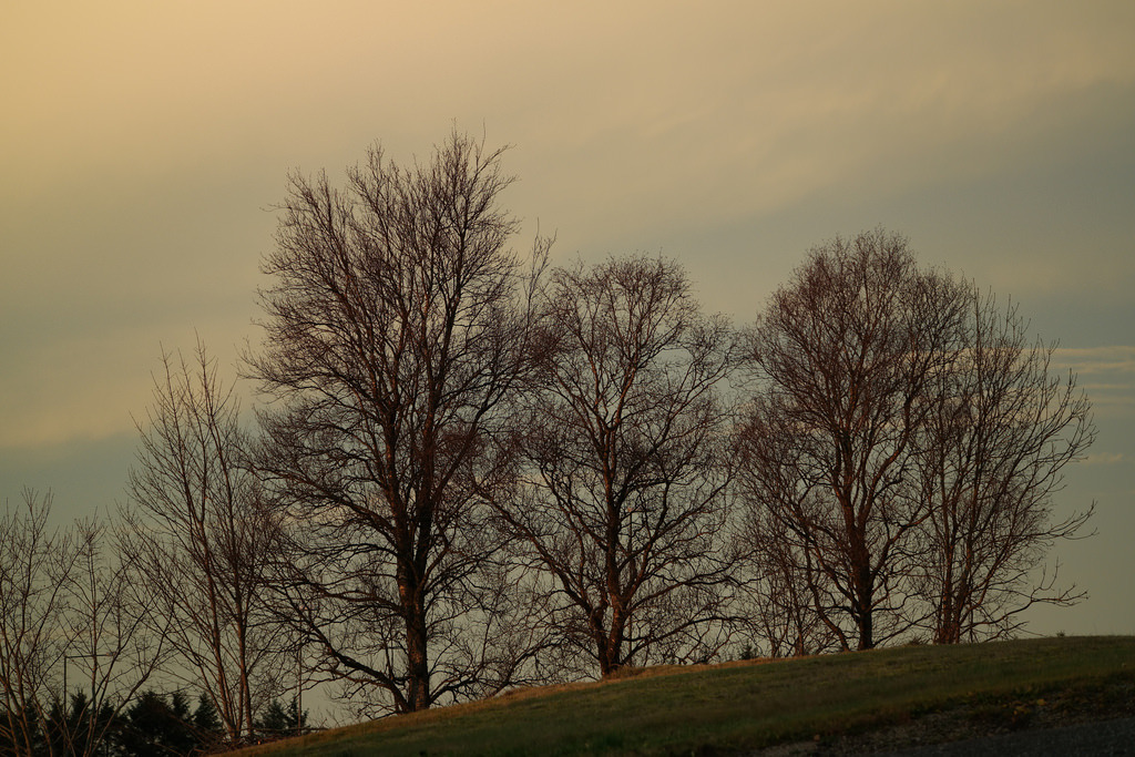 SAM_0370 by magneroed Samsu