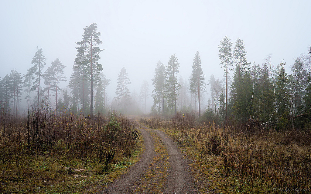 November 2018 by Helge-R  <