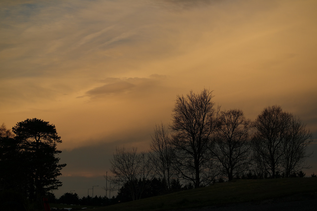 SAM_0391 by magneroed Samsu