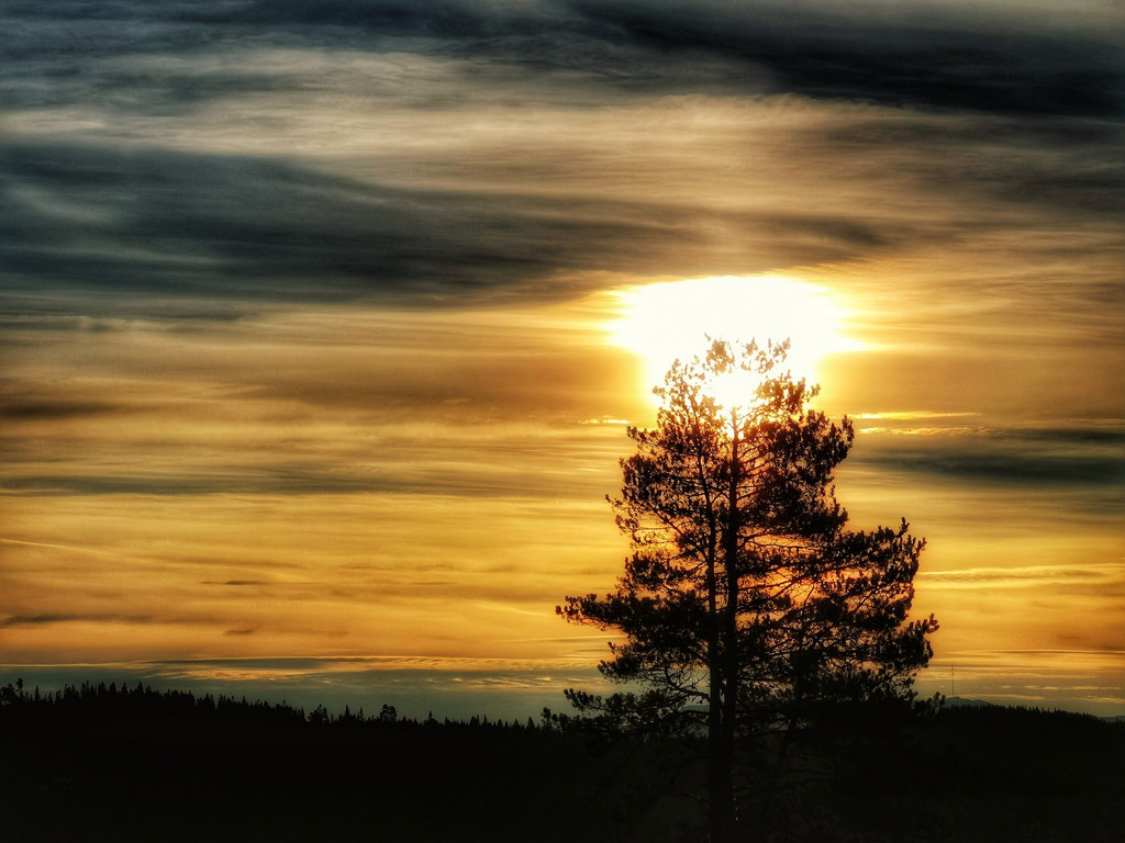 November Sun by burgerno  <
