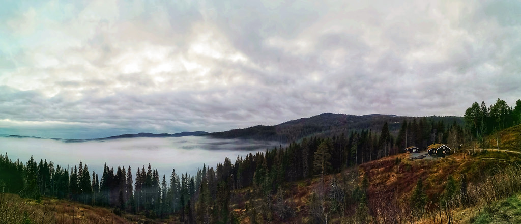 Misty Pano by burgerno Tryi