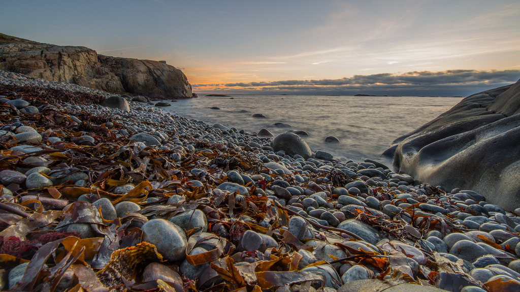 IMGP8603-2 by jarle.kvam Pe