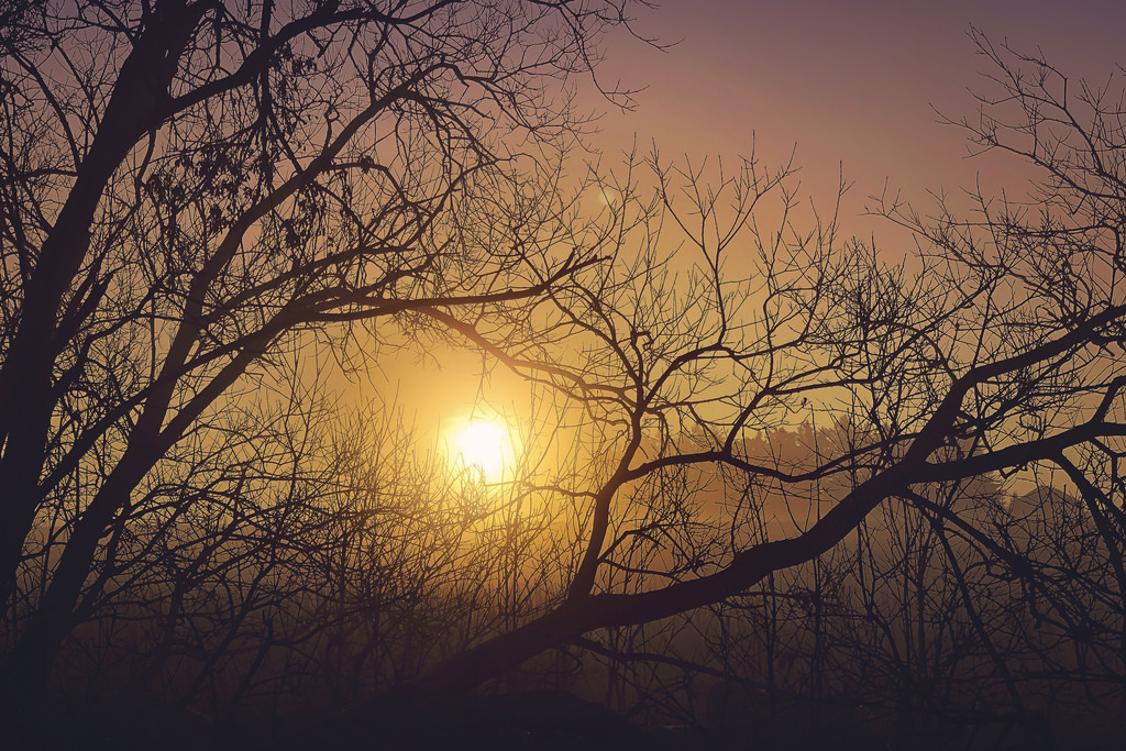321/365: Sunrise by Liv Ann