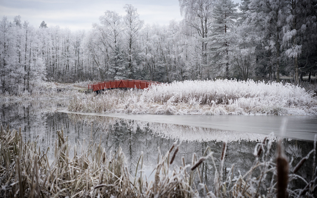 Fjellhamar by Fngry Fhellha