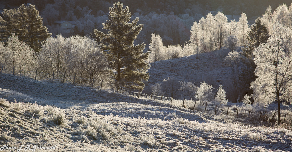 Hoarfrost by 2000stargazer