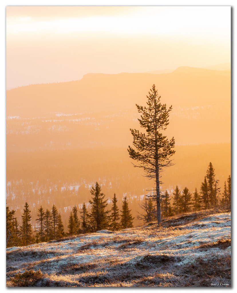 Last day without snow by Be