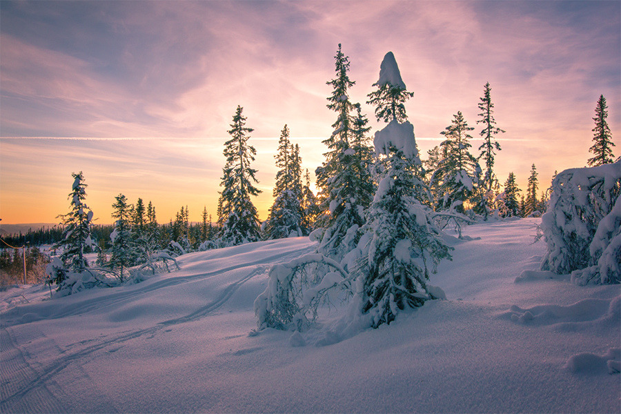 Fairytale land by JudyHess