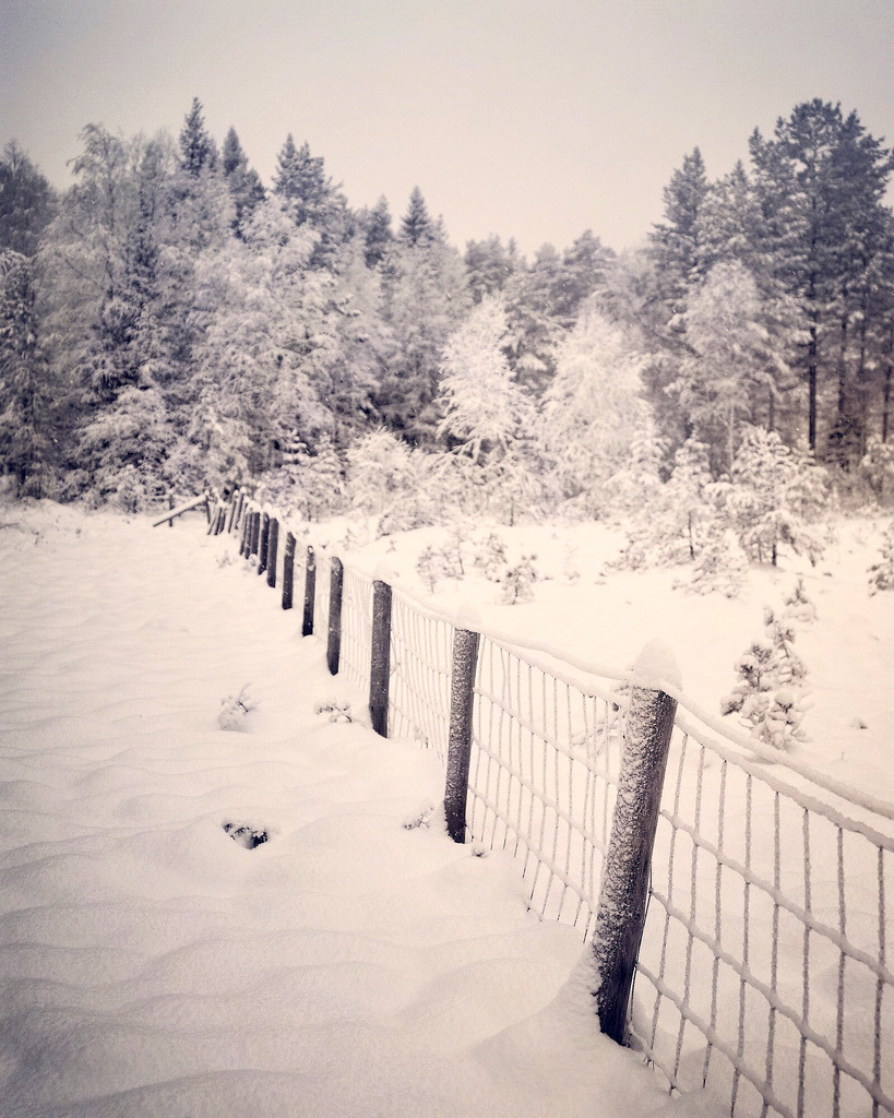 🇳🇴 Winter wonderland,