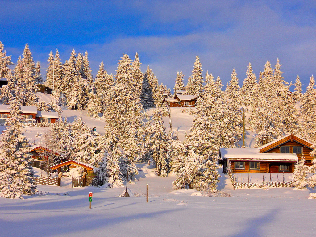 🇳🇴 “Cottage vil