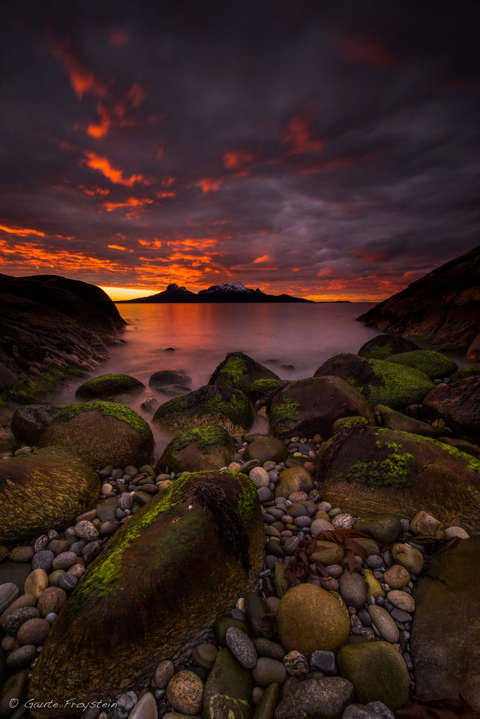 Sunset at low tide by Gaute