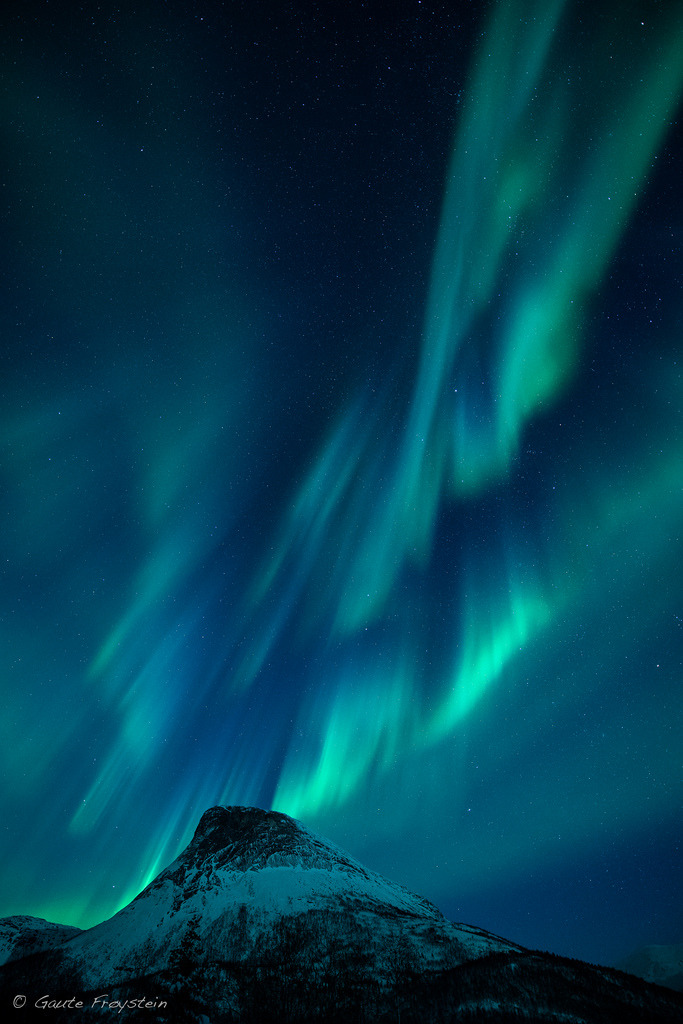 Dancing auroras by Gaute Fr