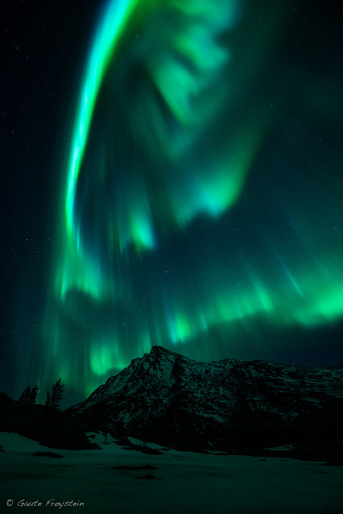 The green show by Gaute Fro