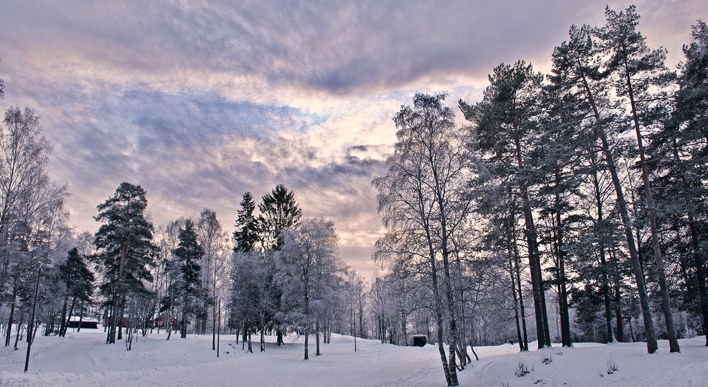 Winter wilderness by somabi