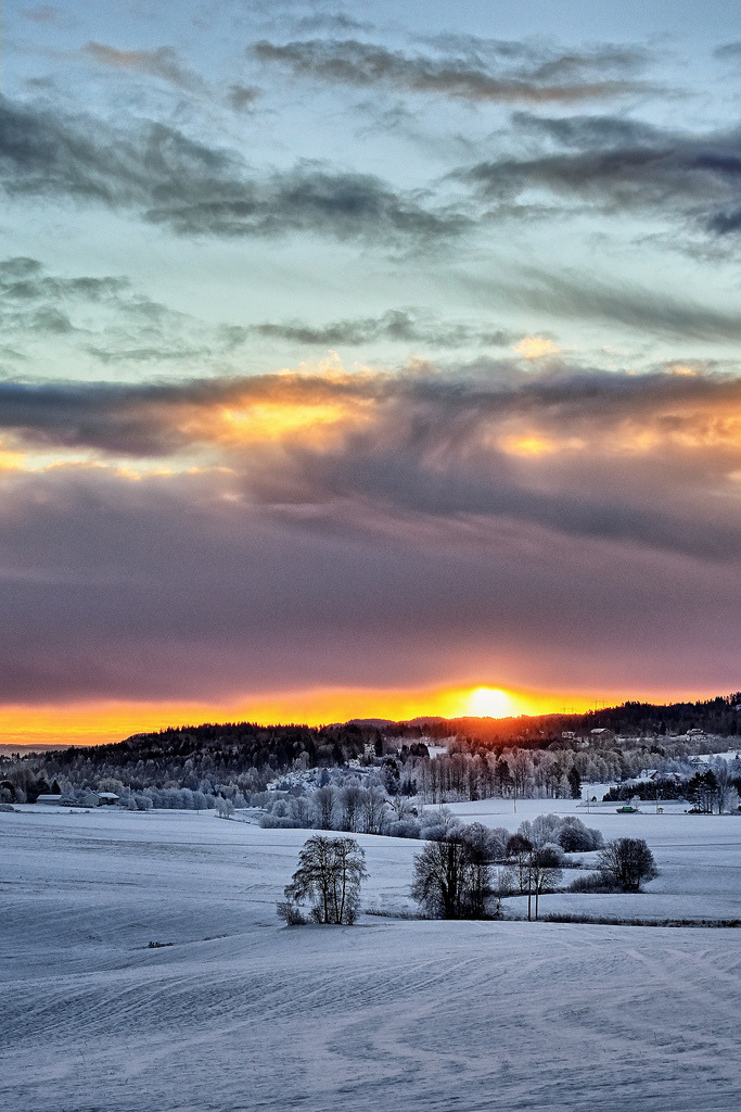 Røyken, Norway by Vest der