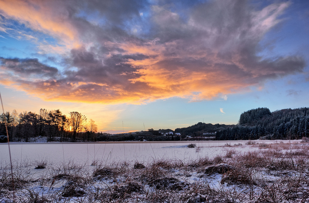 Winter morning, Norway by V