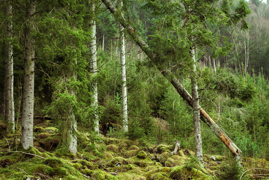 Hiking/Norway by gazi_selim