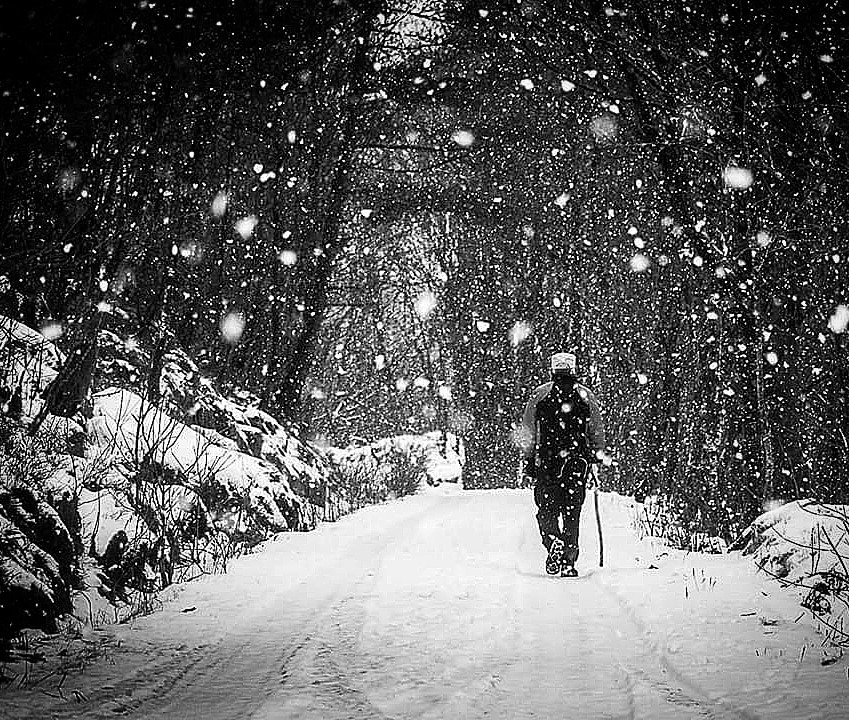 Walk in the snow by MortenT