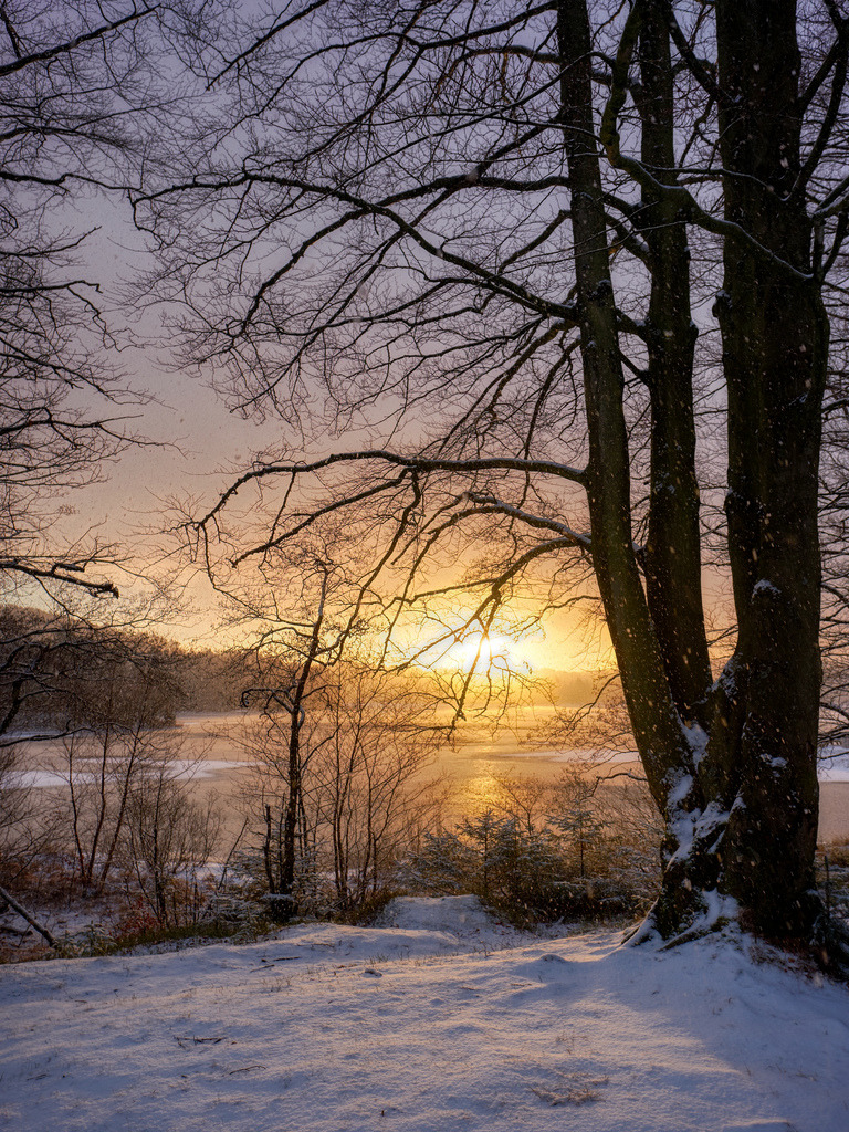 Morning light, Norway by Ve