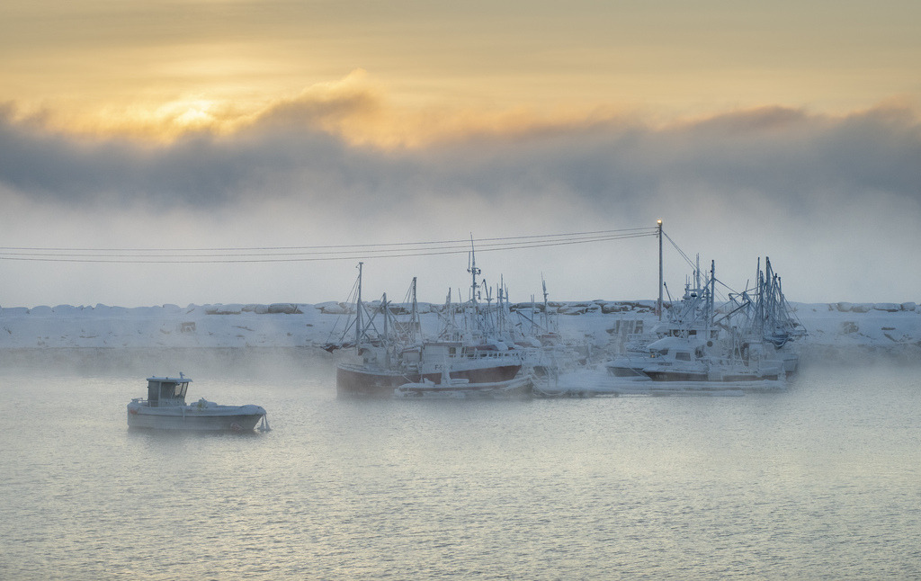 Frost – Nesseby harbour – V