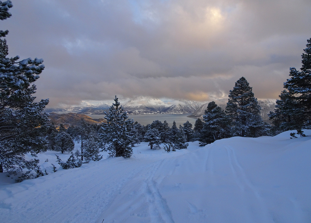 Dusk up in the hills. by Mr