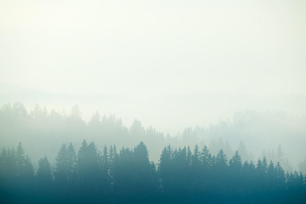receding lines … by