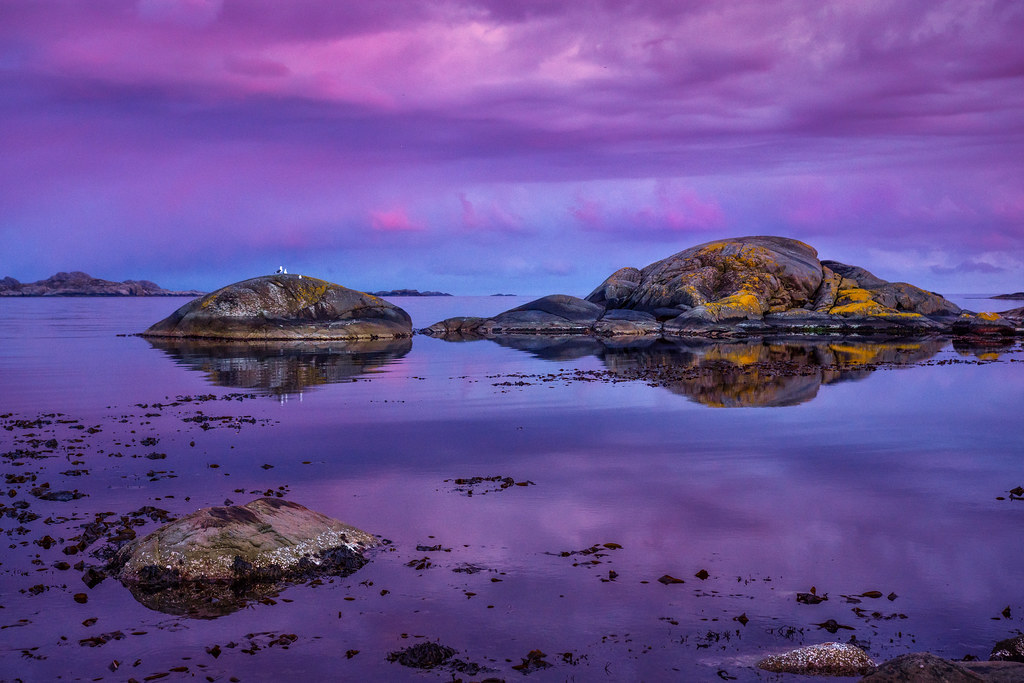 ~ Pink Peace ~ by Ranveig M