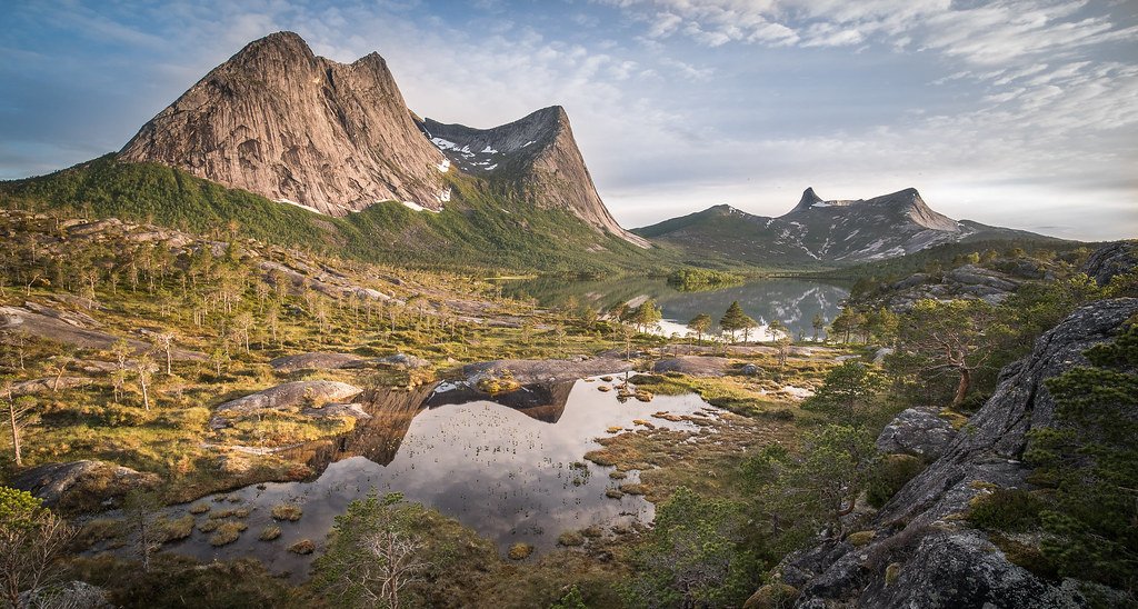 Granite, pines and bogs by