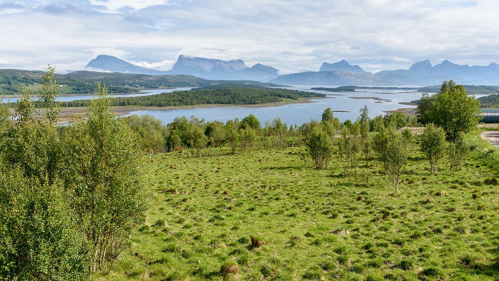 Norway by Stefan Wagener  <