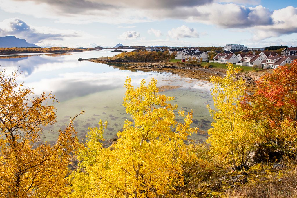 Autumn colors from resident