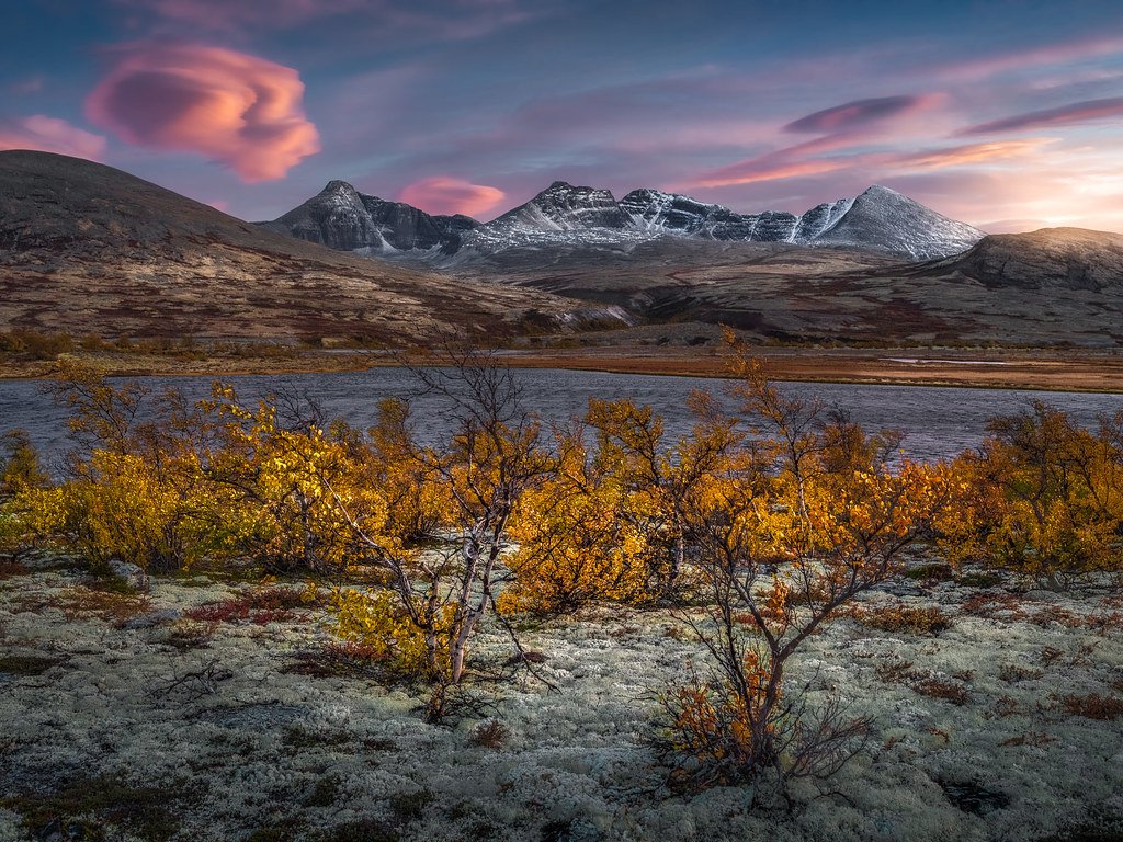 Yellow Glow by Ole Henrik S