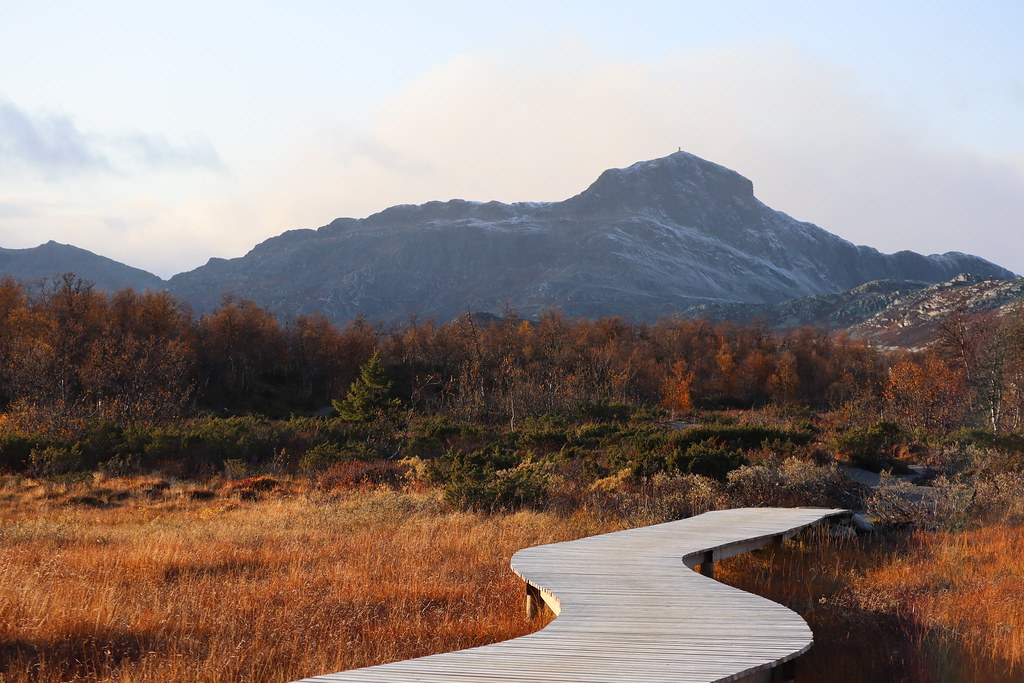 Road to the mountain by aki