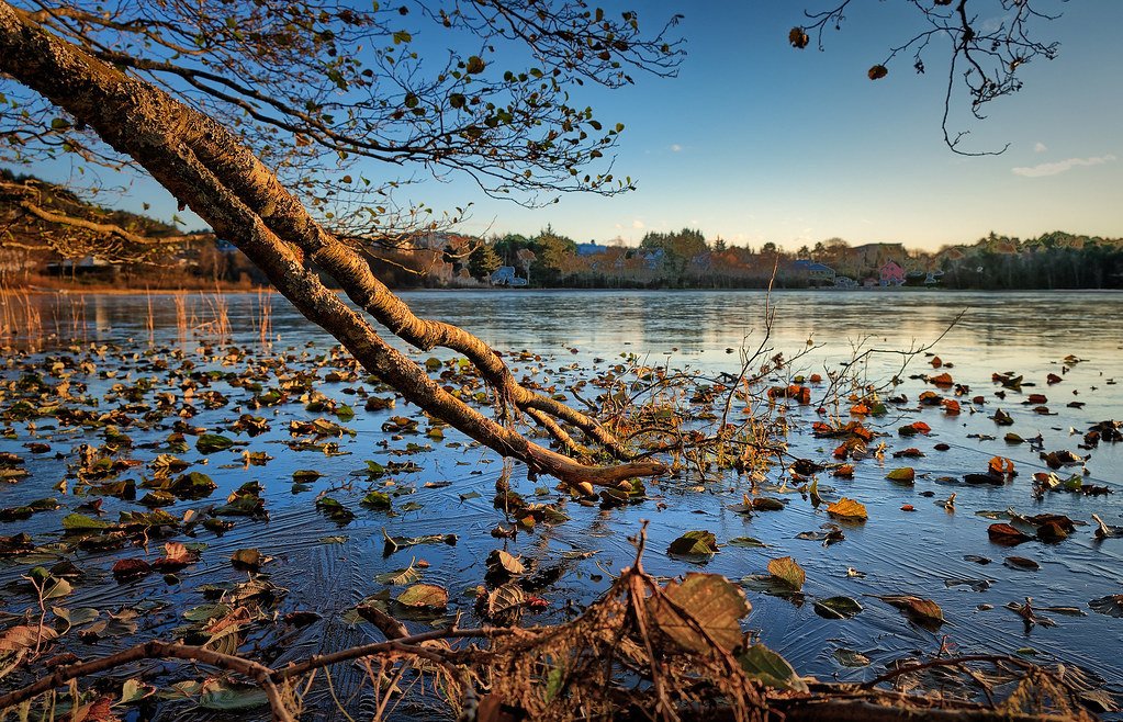 Frozen Autumn by Vest der u