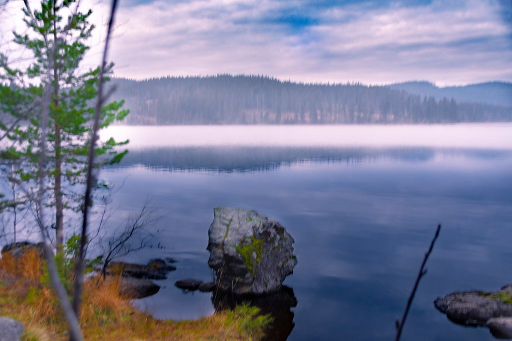 A foggy day at the lake by