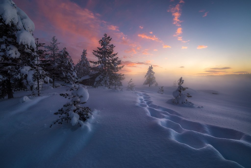 Winter Steps by Ole Henrik