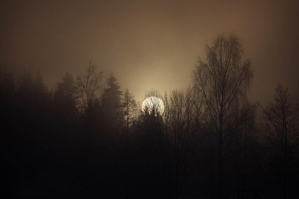 Misty sun by ketil.melby  <
