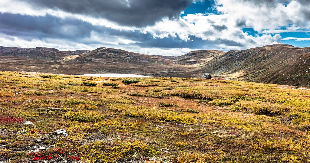 Panorama from Hallingdal II