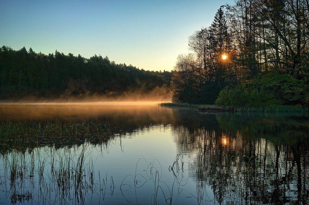 October morning by Vest der