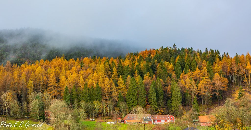 Langegården by 2000stargaz