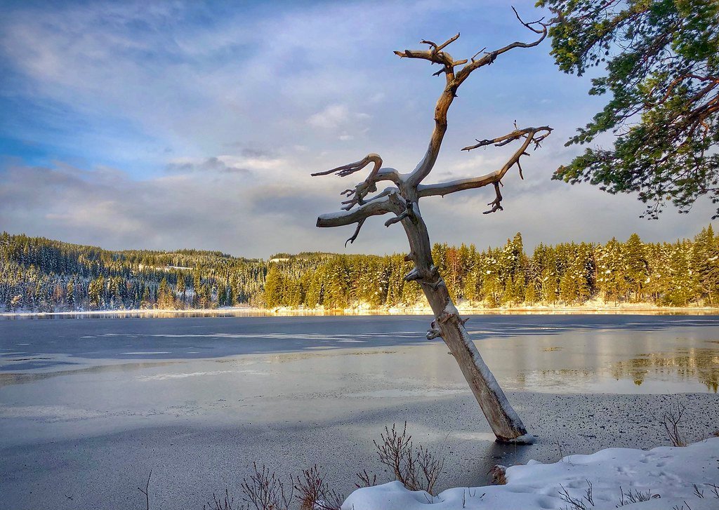 Natural sculpture by Kjetil