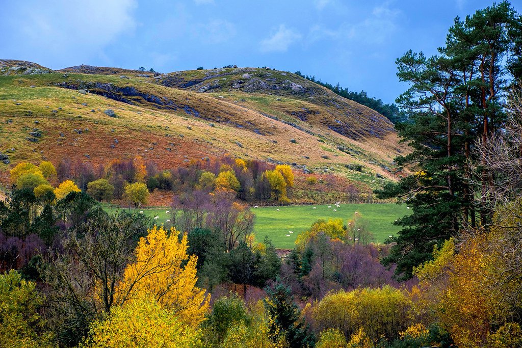 Autumn Countryside by bjorb