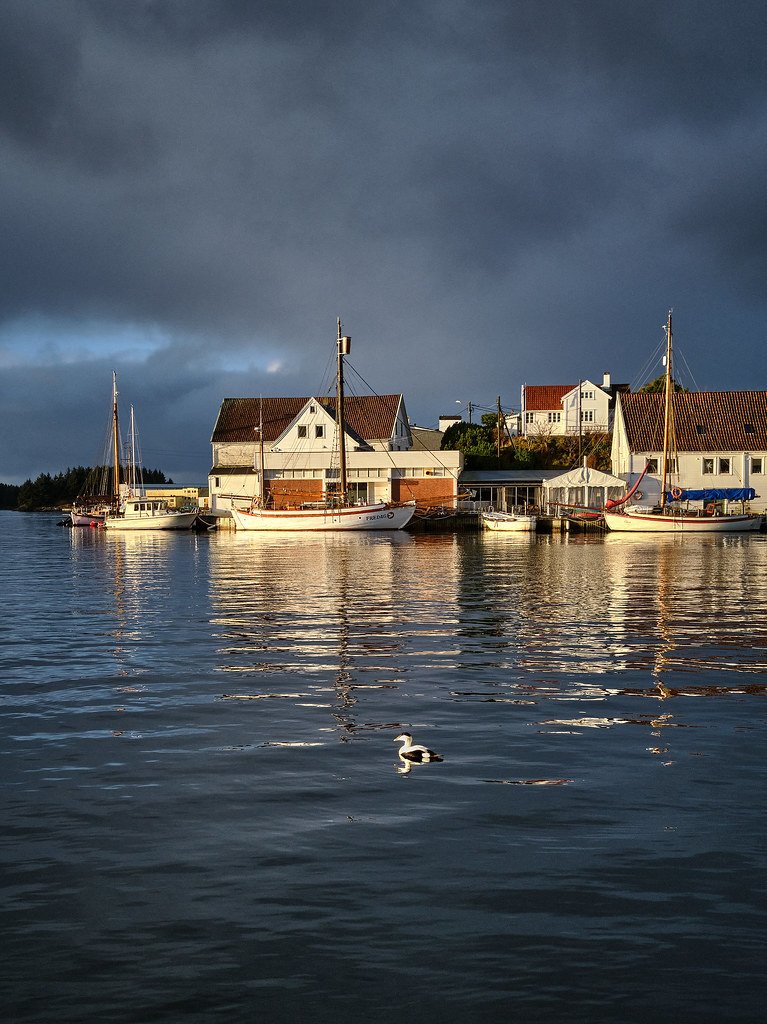 Hasseløy, Norway by Vest d