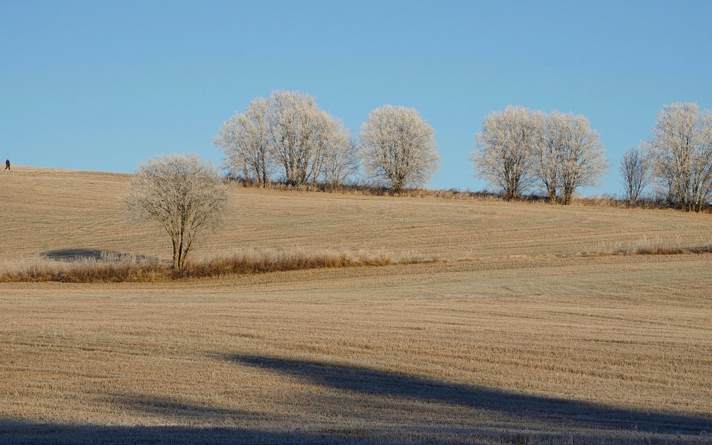 Cold landscape by janrs71