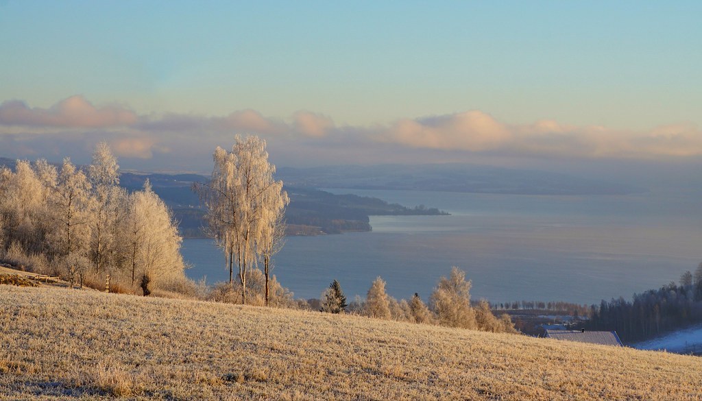 Frost by janrs71  <a h<a href=