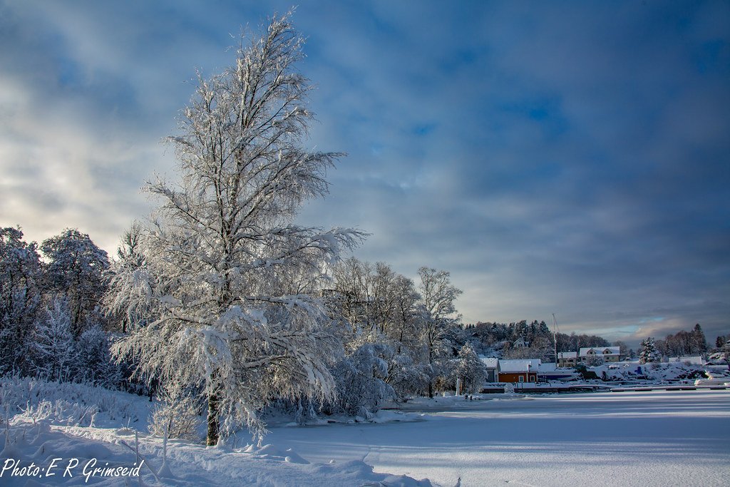 Skjoldbukten ( 2 ) by 2000s