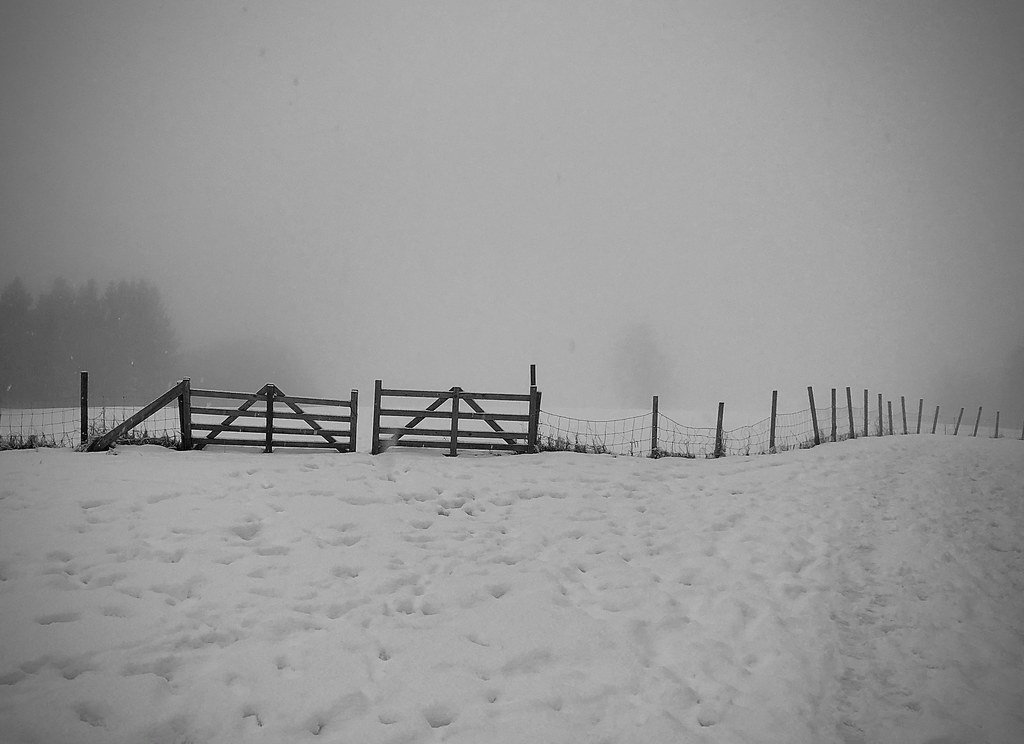 Gateway to foggy landscape