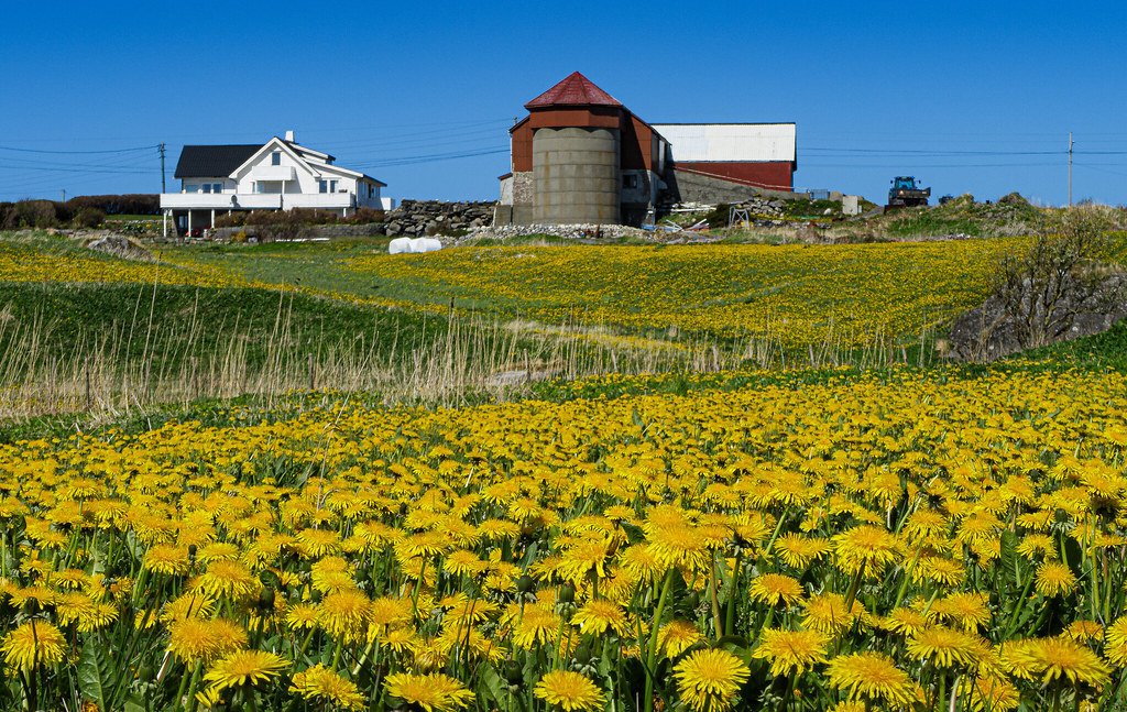 Karmøy, Norway by Vest der