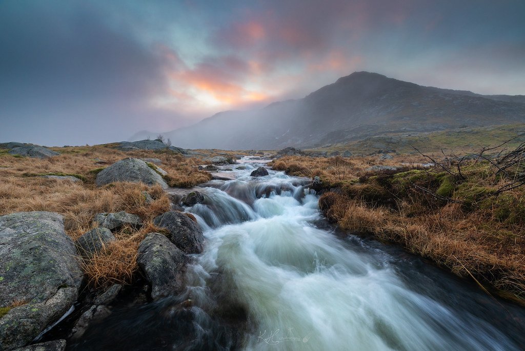 MorningLight in the fog by