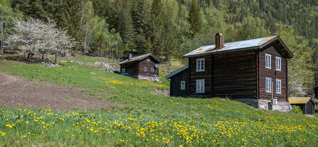 Norway, countryside. by Tõ