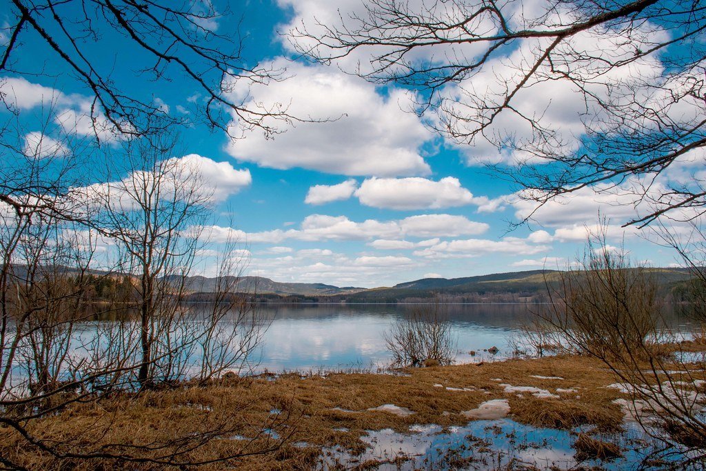 Springtime Lakeshore by bjo